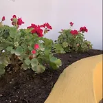 Encantador Apartamento-centrico-con Amplio Jardin דירה טורמולינוס