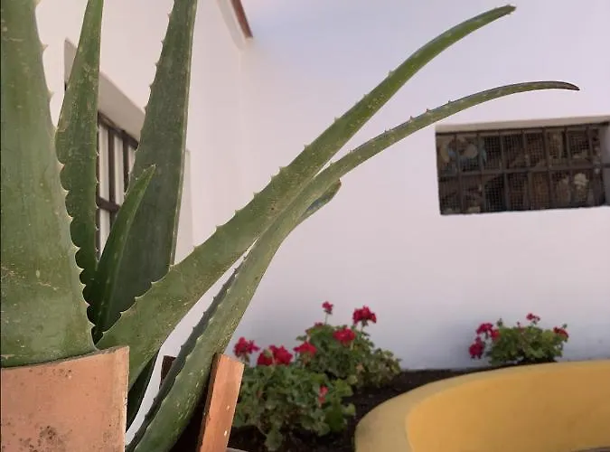 Encantador Apartamento-céntrico-con Amplio Jardín * Torremolinos