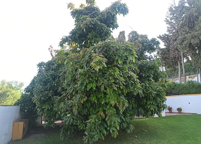 Apartamento Encantador Apartamento-céntrico-con Amplio Jardín