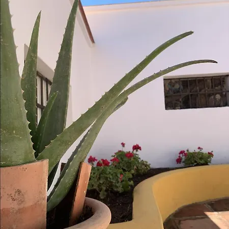Encantador Apartamento-centrico-con Amplio Jardin * Τορρεμολίνος