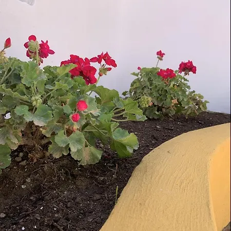 Encantador Apartamento-centrico-con Amplio Jardin Διαμέρισμα Τορρεμολίνος